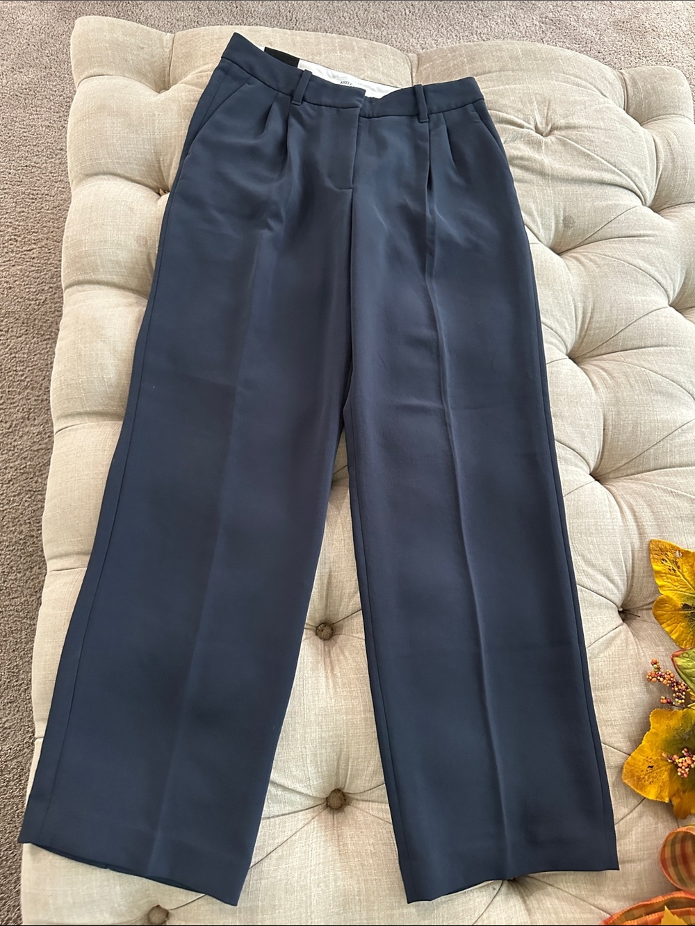 Aritzia Navy Wide-Leg Pleated Dress Pants